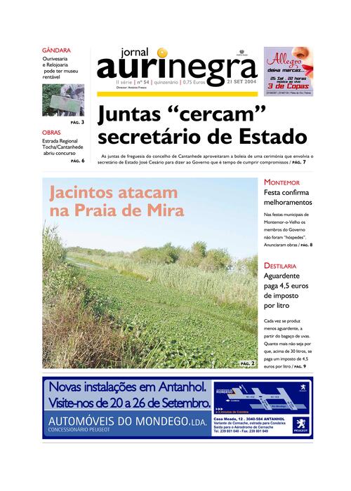 Thumbnail for AURI-NEGRA (54) 2004-09-21