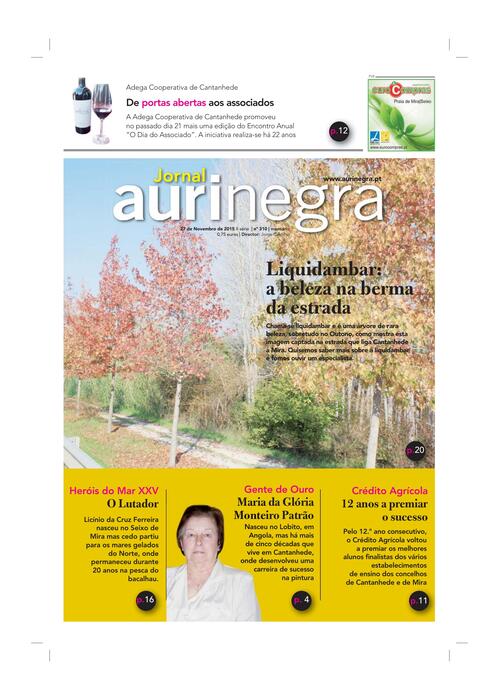 Thumbnail for AURI-NEGRA (310) 2015-11-27